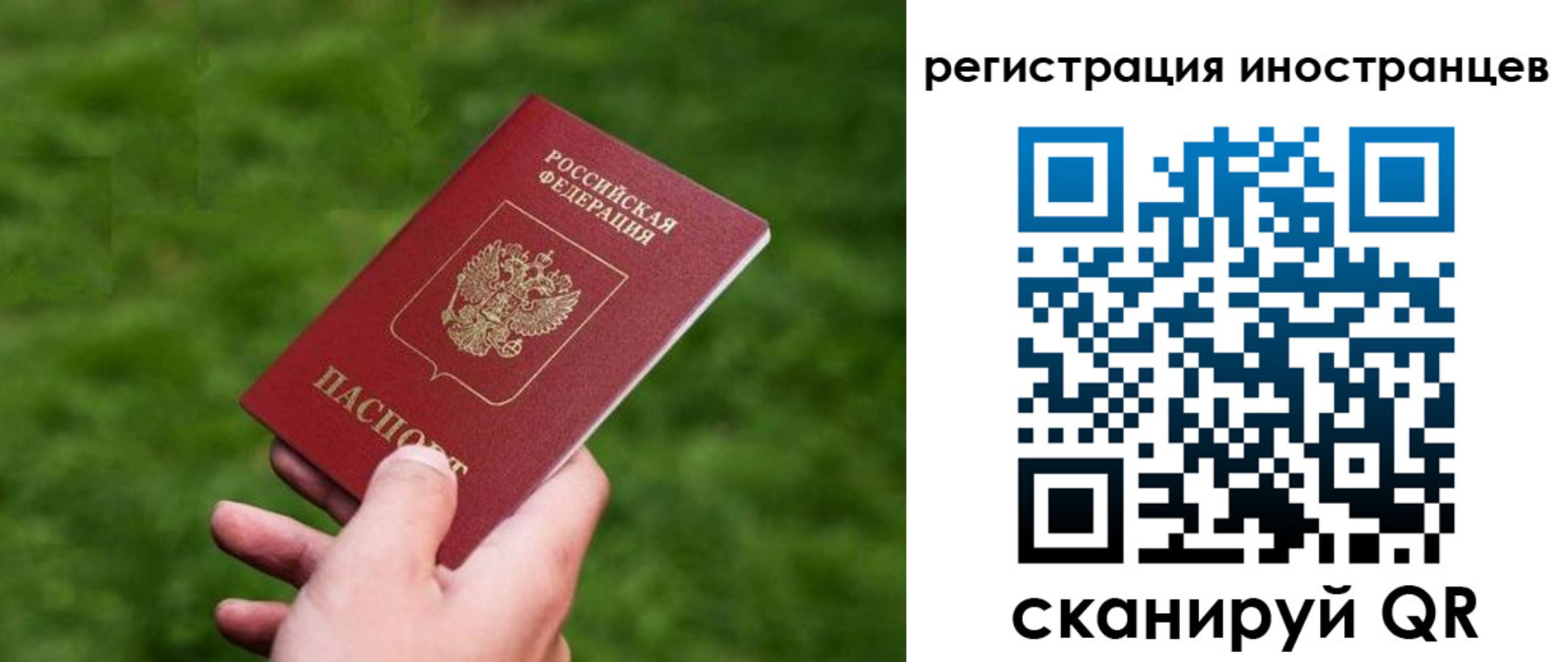 прописка ребенка в Палласовке